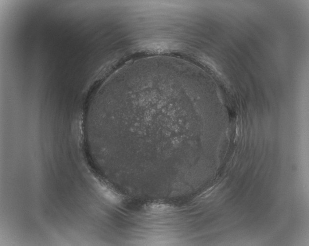 X0000068720590200605051435