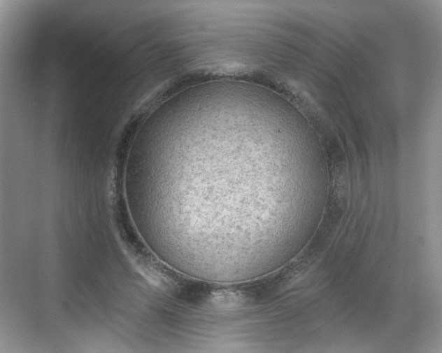 X0000068720591200605051435