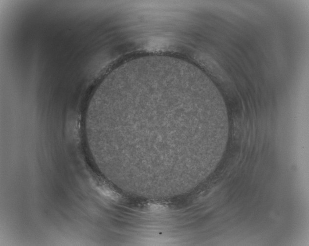 X0000068720592200605051435