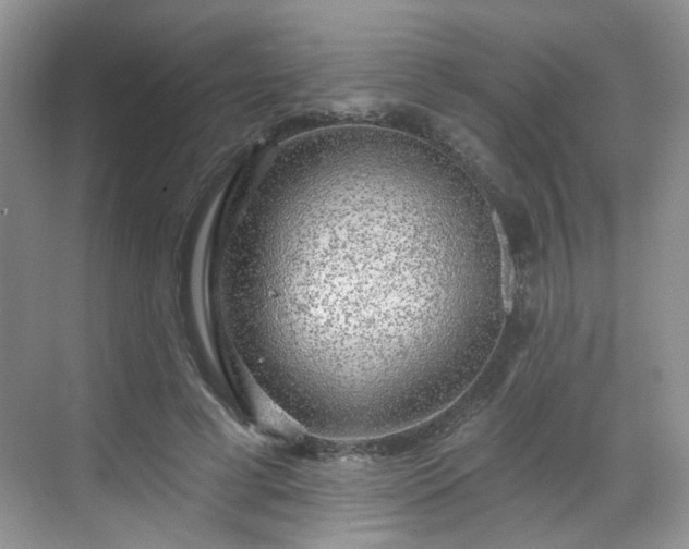 X0000068720593200605051435