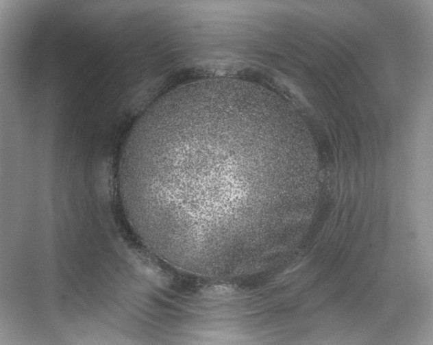 X0000068720594200605051435