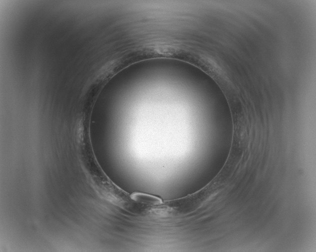 X0000068720595200605051435