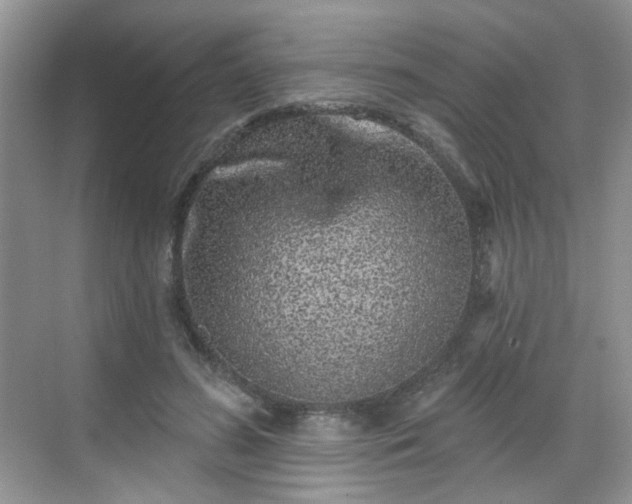 X0000068720596200605051435