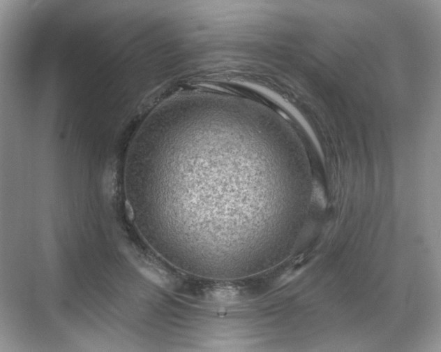 X0000068720600200605051435