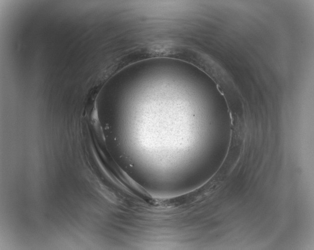 X0000068720601200605051435