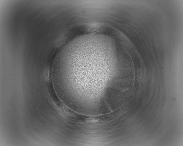 X0000068720602200605051435