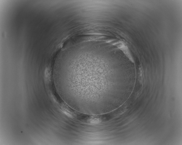 X0000068720604200605051435