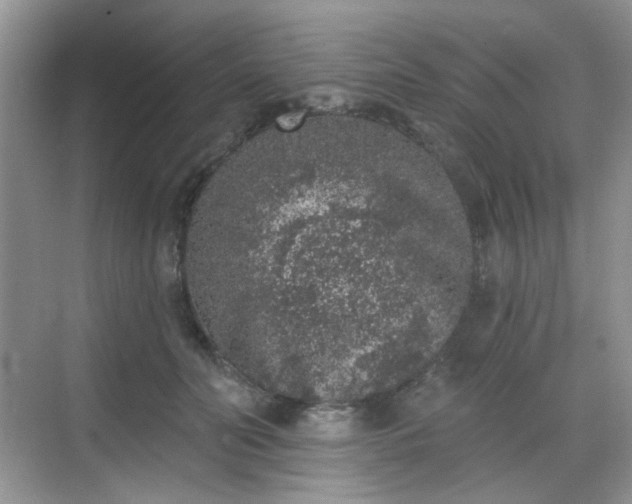 X0000068720606200605051435