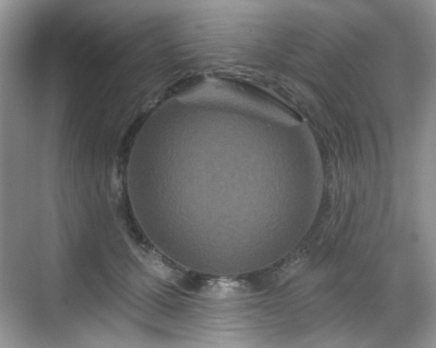 X0000068720607200605051435