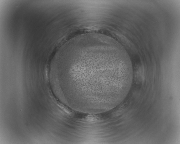 X0000068720608200605051435