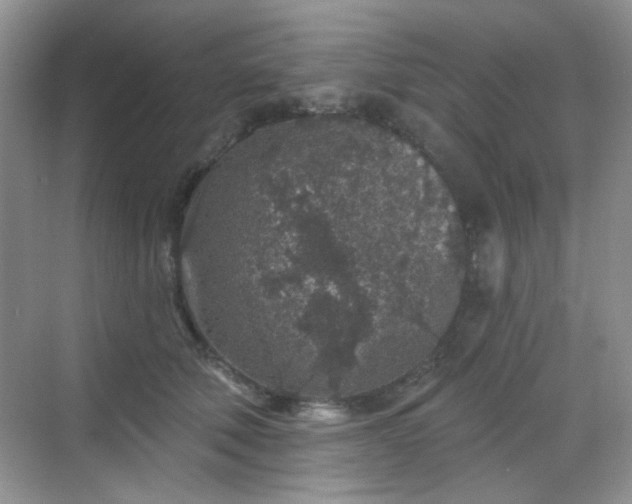 X0000068720610200605051435