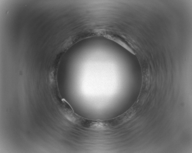 X0000068720611200605051435