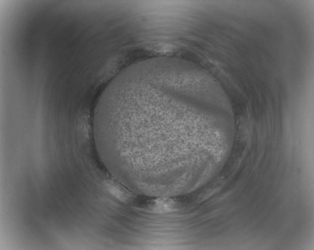 X0000068720612200605051435