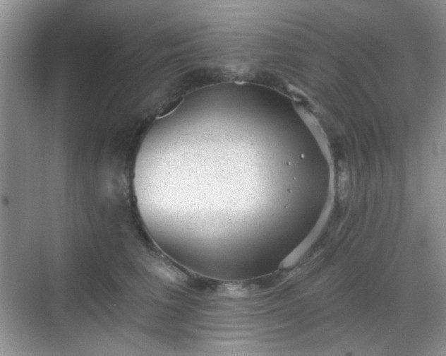 X0000068720613200605051435