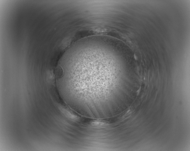 X0000068720614200605051435