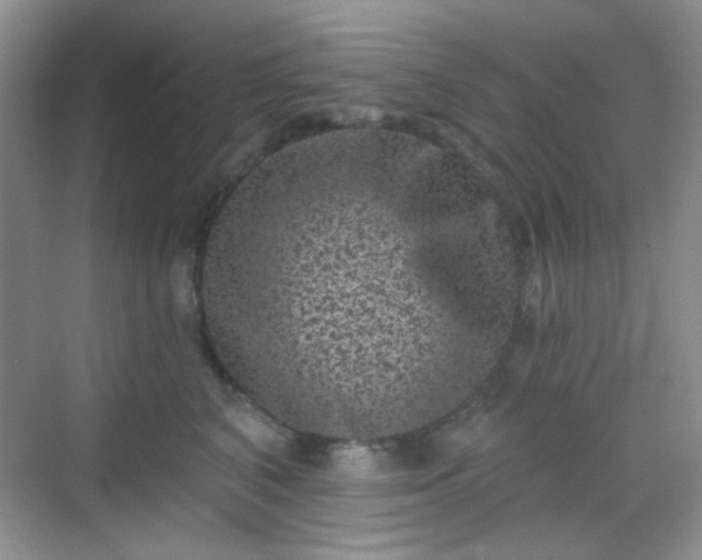 X0000068720616200605051435