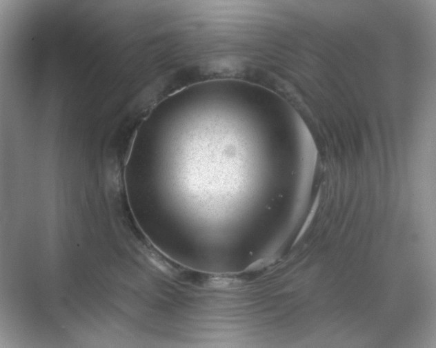 X0000068720617200605051435