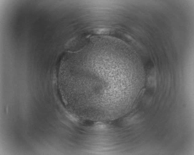 X0000068720620200605051435