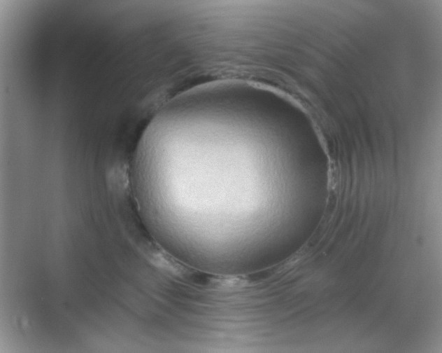 X0000068720621200605051435