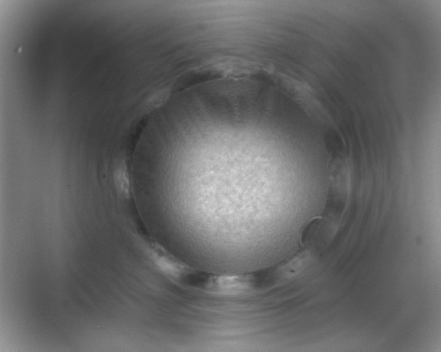 X0000068720622200605051435