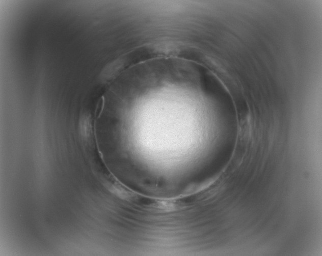 X0000068720623200605051435