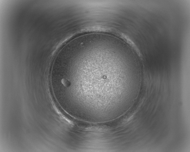 X0000068720625200605051434