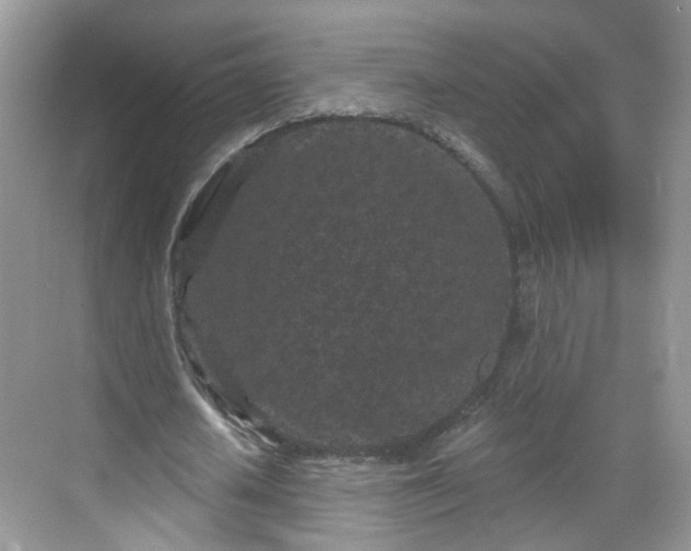 X0000068720626200605051434