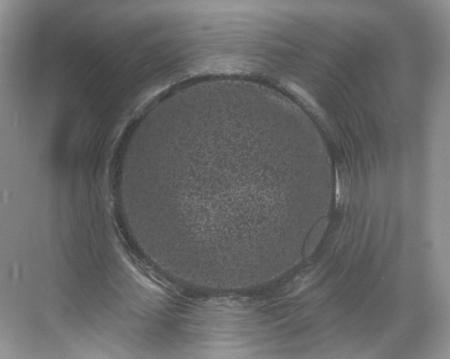 X0000068720627200605051434