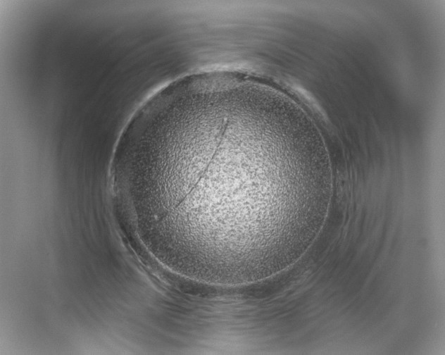 X0000068720628200605051434