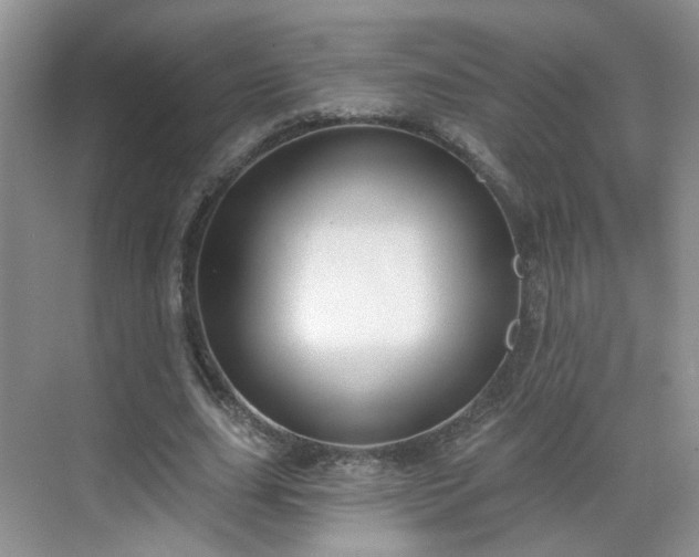 X0000068720631200605051434