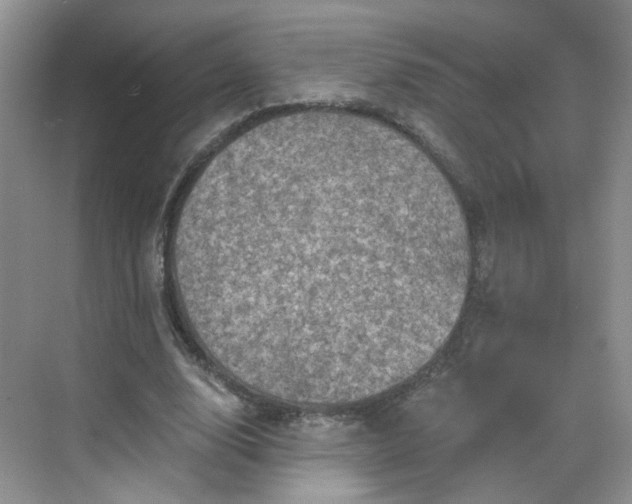 X0000068720632200605051434