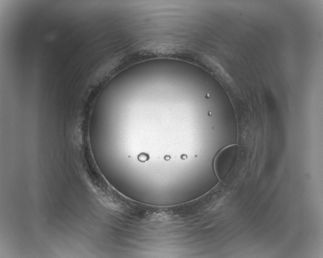 X0000068720635200605051434