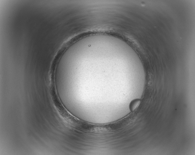 X0000068720636200605051434