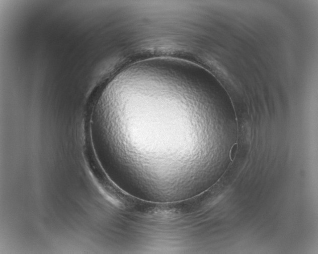 X0000068720638200605051434