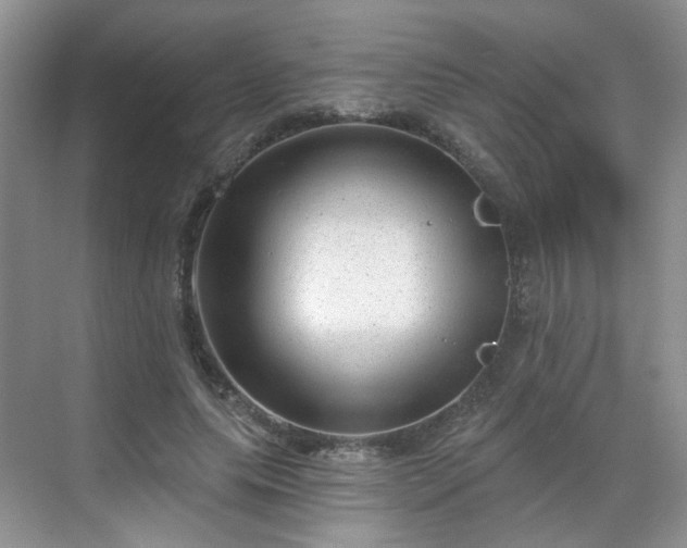 X0000068720639200605051434