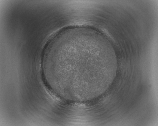 X0000068720640200605051434