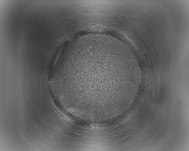 X0000068720641200605051434