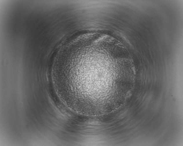 X0000068720643200605051434