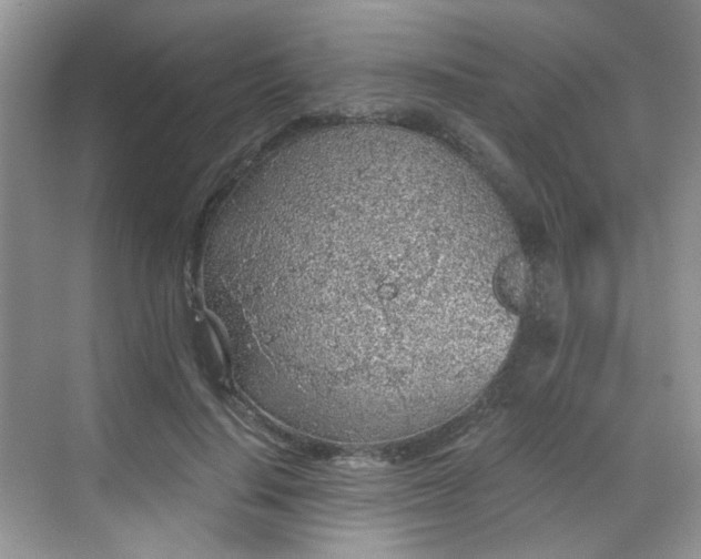 X0000068720644200605051434