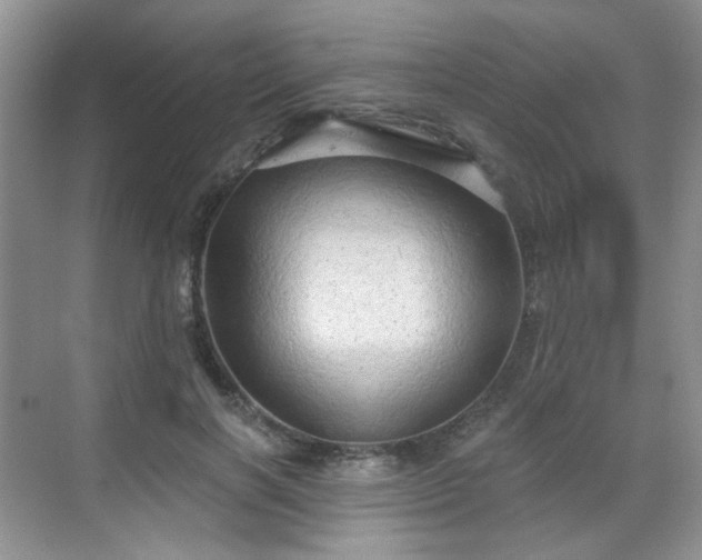 X0000068720646200605051434