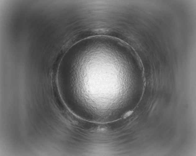 X0000068720647200605051434