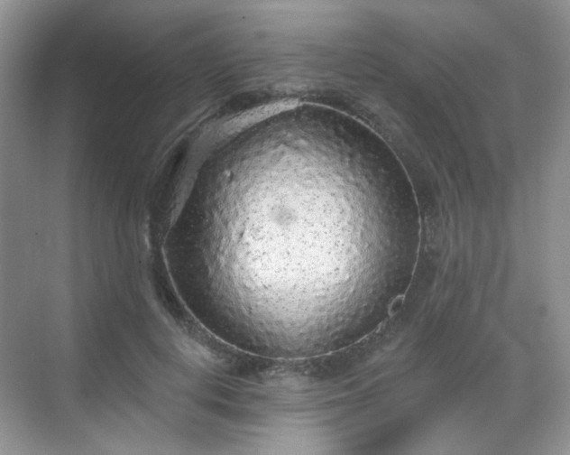 X0000068720648200605051434