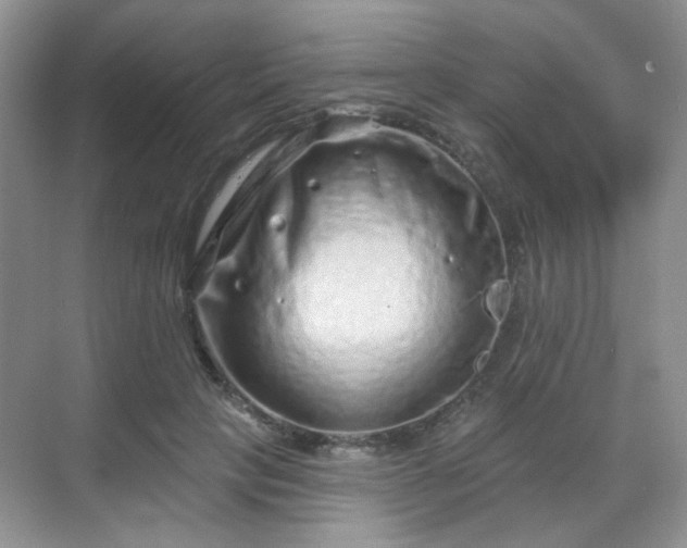 X0000068720649200605051434