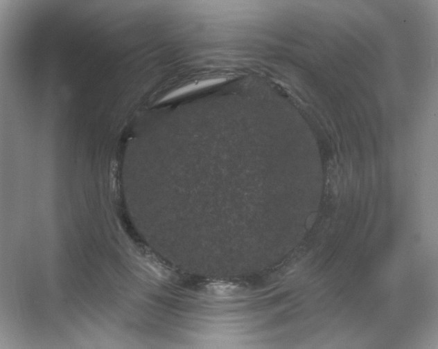 X0000068720650200605051434