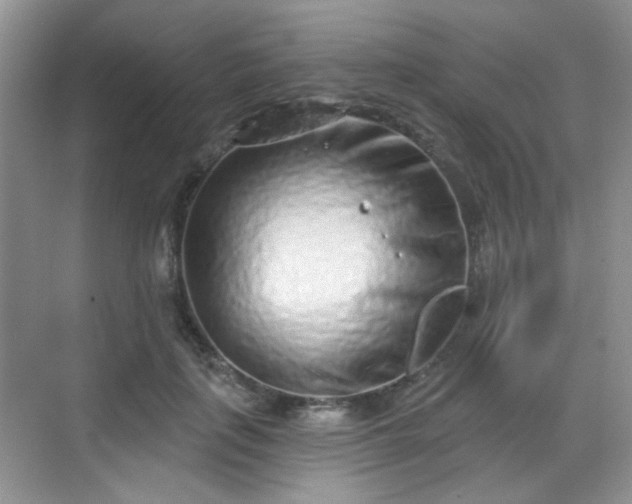 X0000068720651200605051434