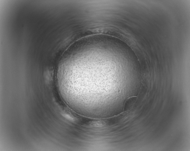 X0000068720652200605051434