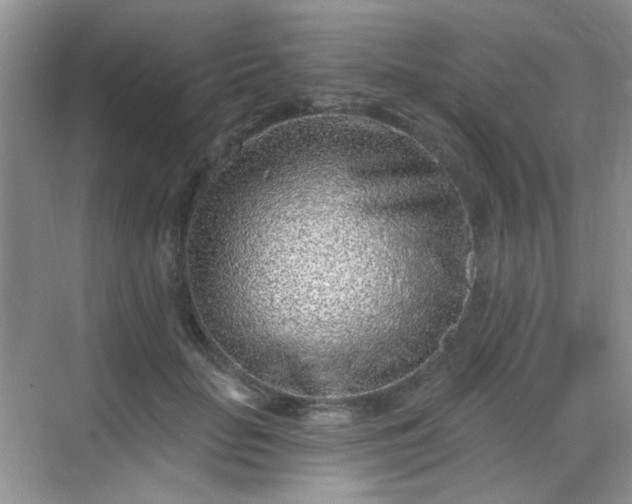 X0000068720653200605051434