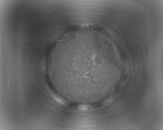 X0000068720654200605051434