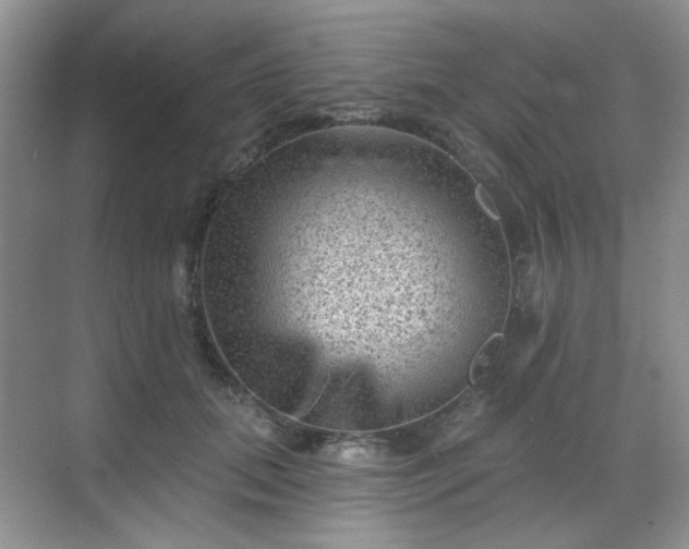 X0000068720655200605051434