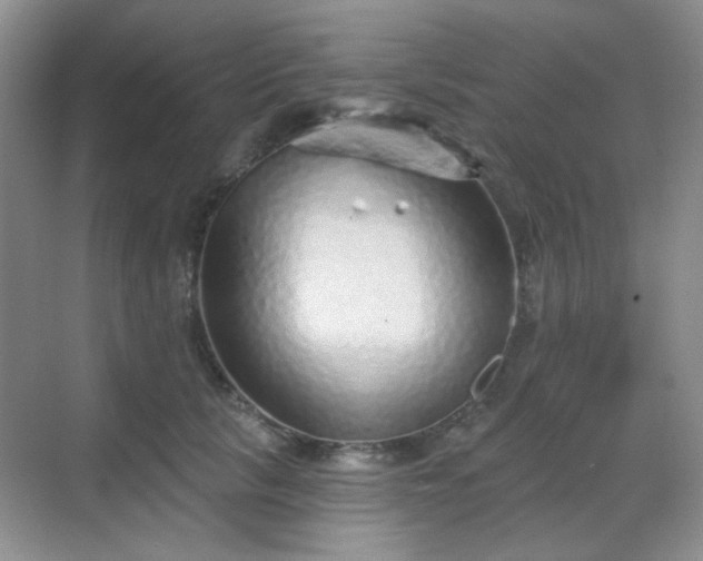 X0000068720657200605051434